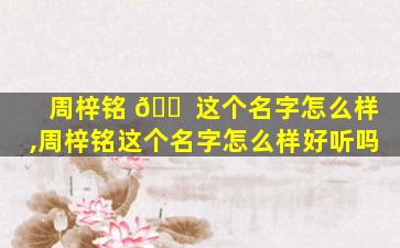 周梓铭 🐠 这个名字怎么样,周梓铭这个名字怎么样好听吗